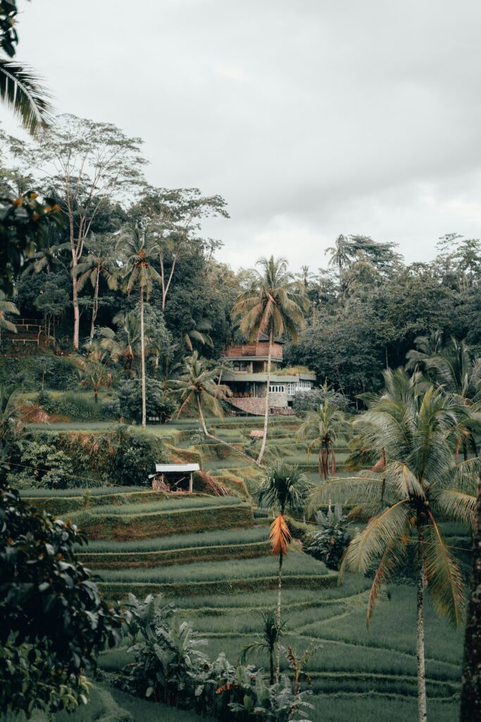 ubud_ruong_bac_thang ubud_bali
