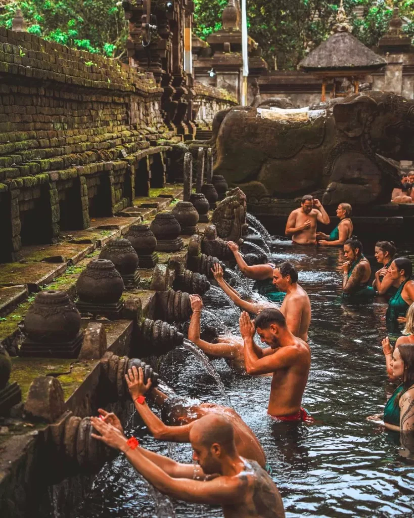 ubud ubud_den