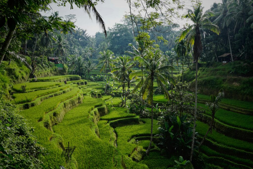 7 ngày khám phá bali yên bình 7 ngày khám phá bali yên bình